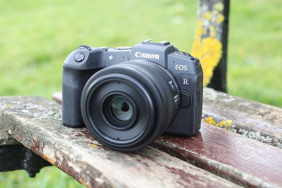 Canon EOS RP: A Câmera Mirrorless da Canon mais vendida - Blog